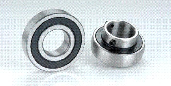 Stainless Steel Ball Bearings